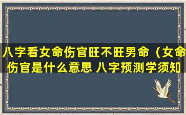八字看女命伤官旺不旺男命（女命伤官是什么意思 八字预测学须知）